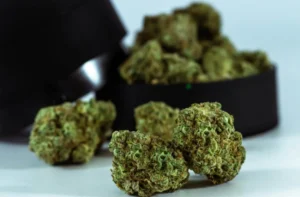 Cannabis