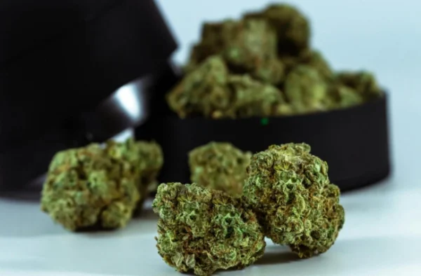 Cannabis