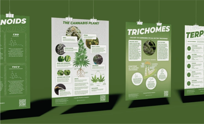 Educational Materials for Marijuana