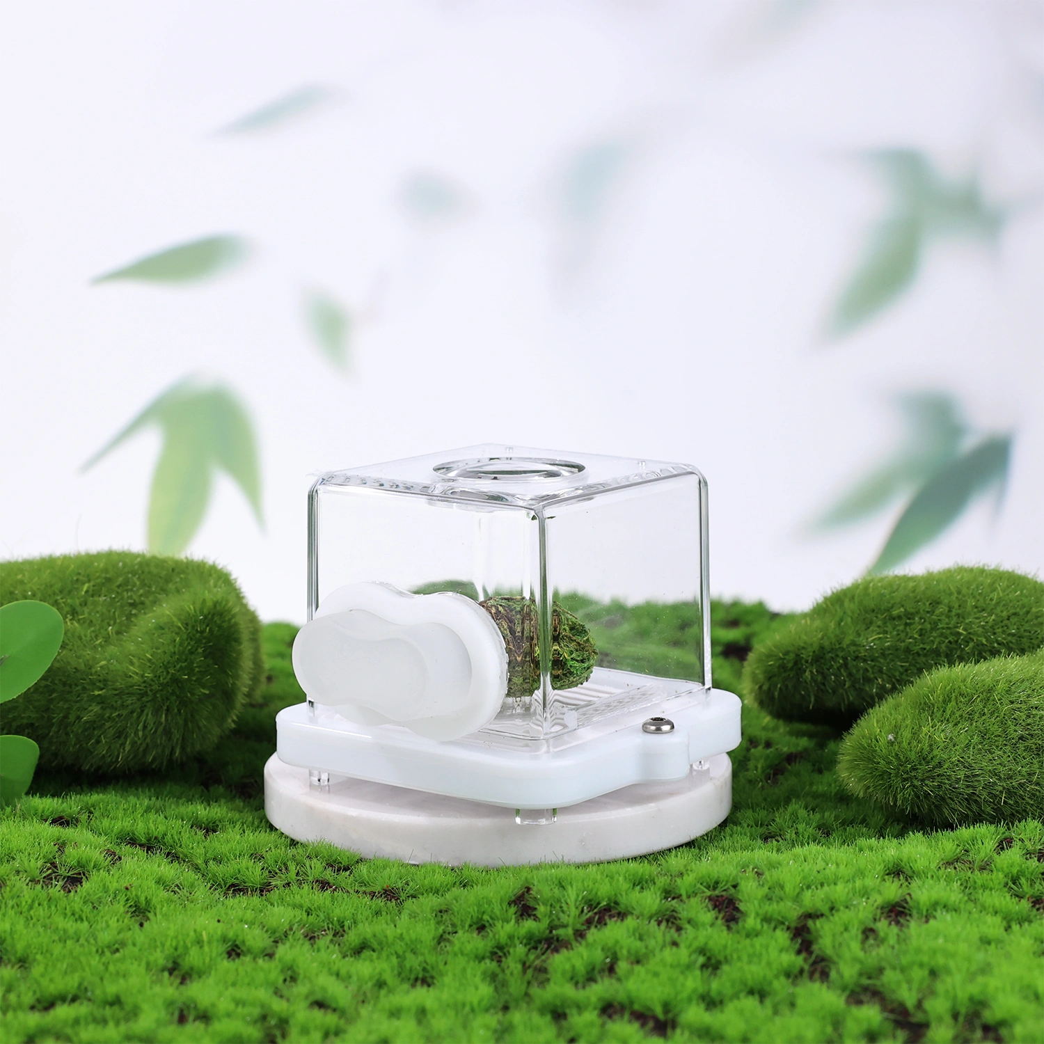 cannabis flower display case