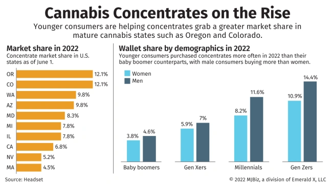 Cannabis Concentrate Market Share by Demographics