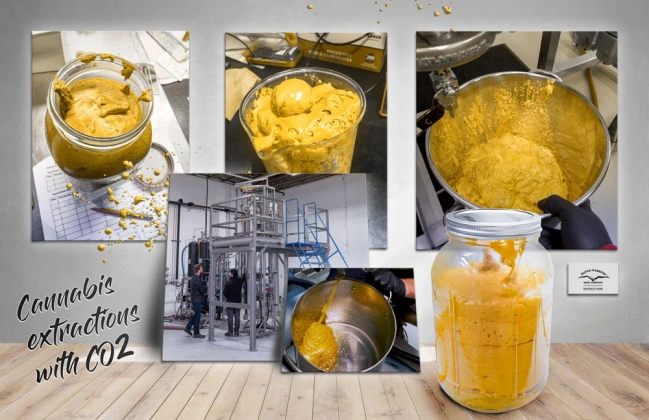 Cannabis Extractions with CO2