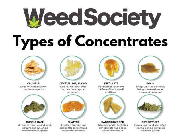 Types of Concentrates