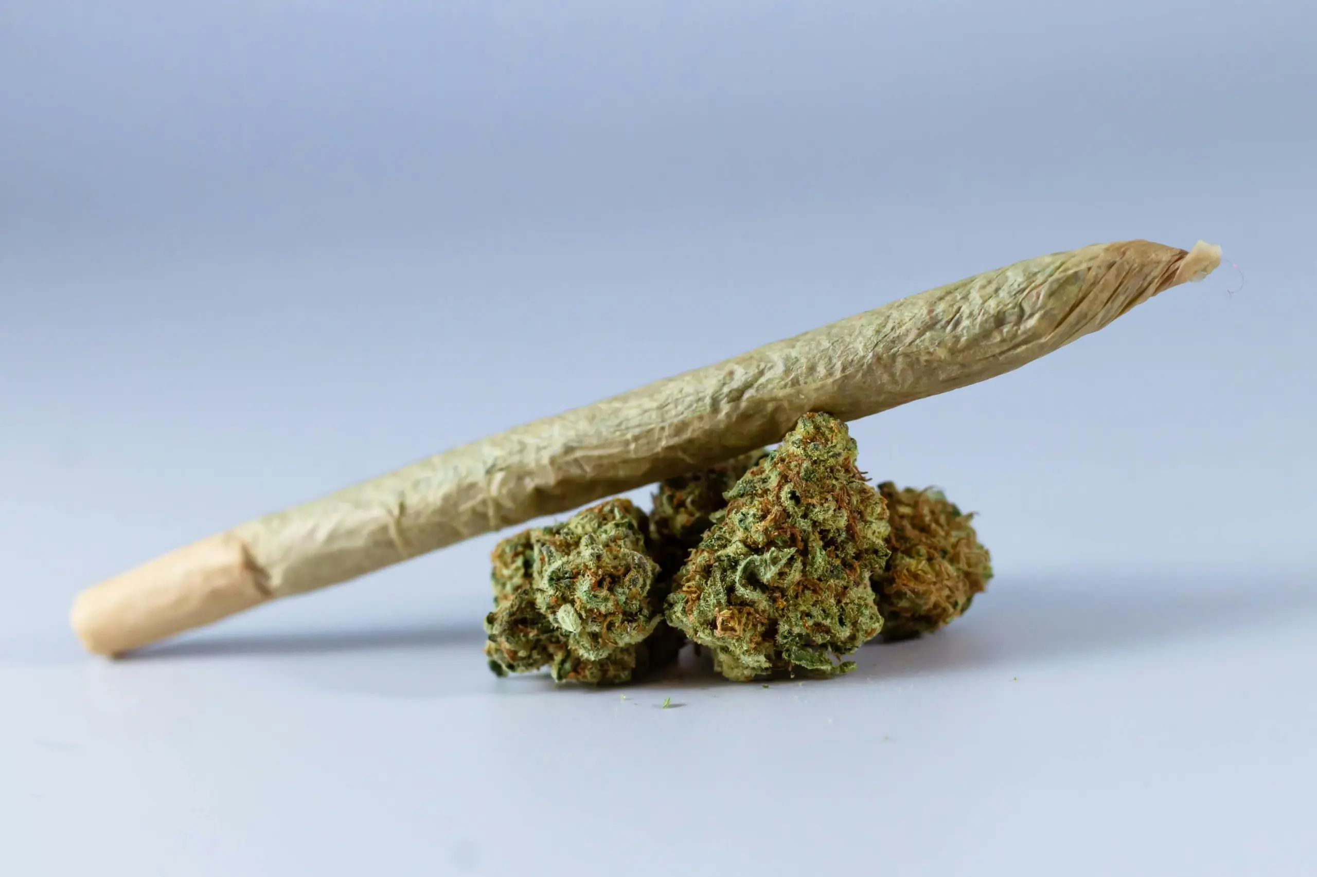cannabis flower