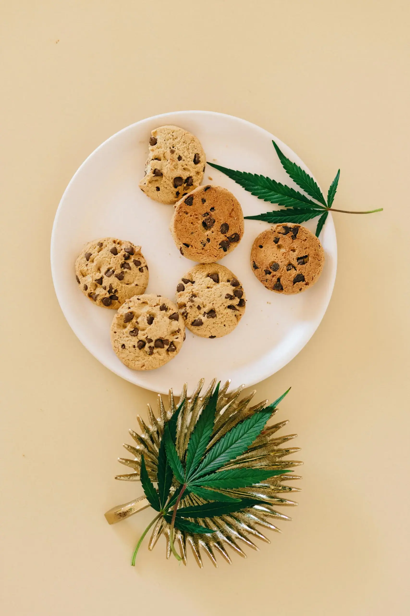 cannabis cookies