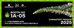 Cannafest Prague 2025